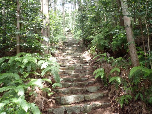 Steps leading up to the main temple